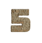 Brick number 5