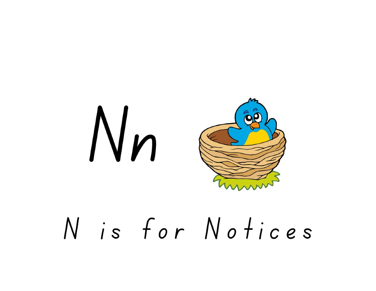 N is for Notices