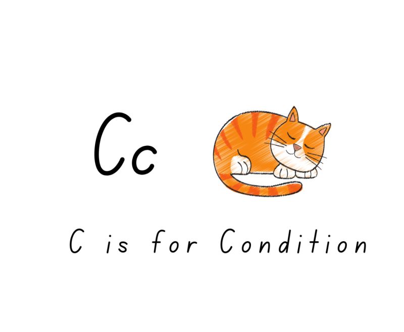 C is for Condition
